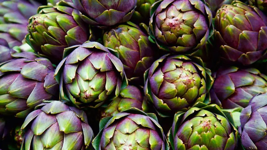 Carciofi, una miniera di fibre che saziano