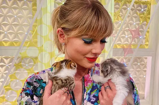 La cantante Usa Taylor Swift appare spesso in video con i suoi gatti durante le sessioni di yoga