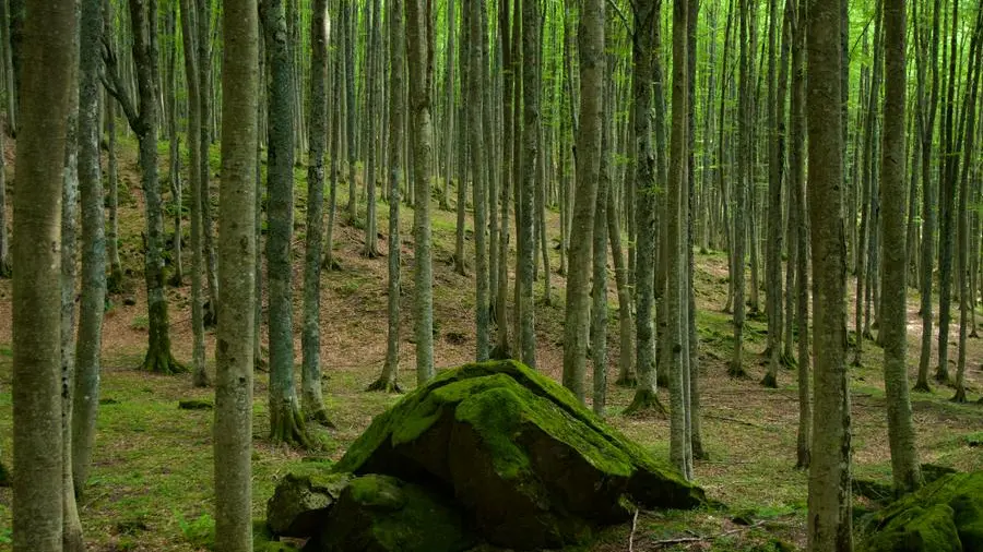 La natura regala salute fisica e psicologica