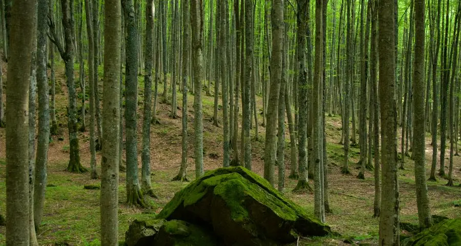 La natura regala salute fisica e psicologica