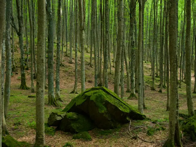 La natura regala salute fisica e psicologica