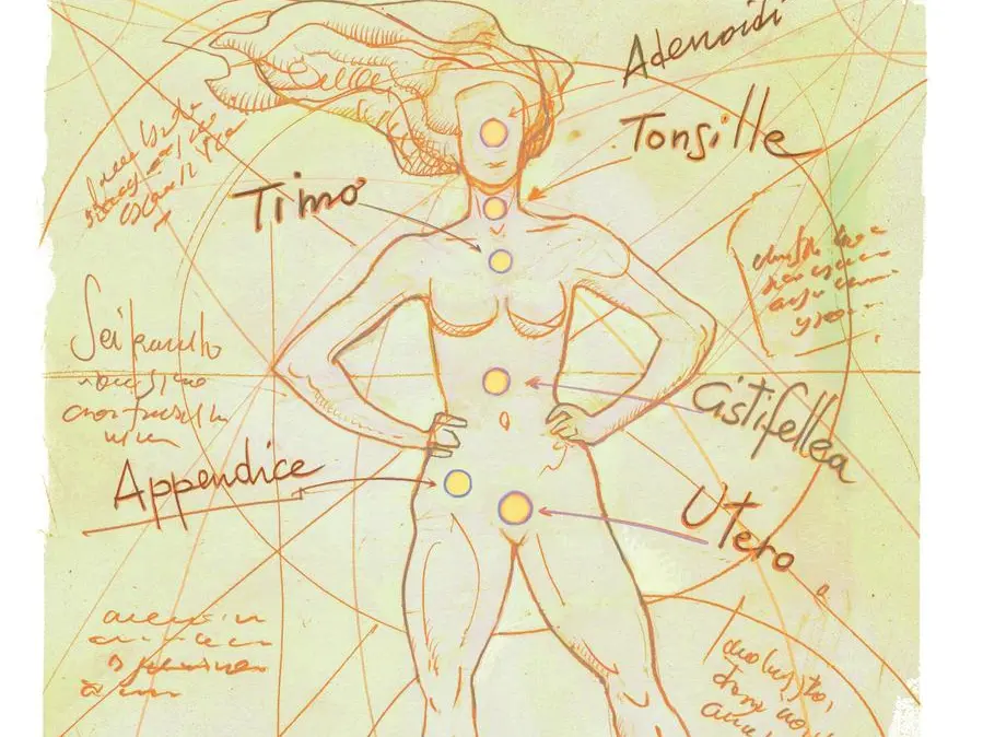 Le sei parti del corpo di cui possiamo fare a meno