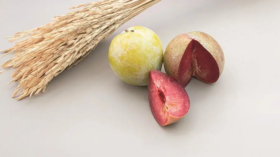Plumcot, uva Italia o jostaberry: la super frutta che nasce dagli incroci