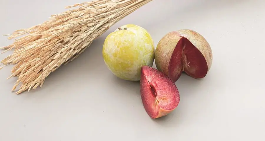 Plumcot, uva Italia o jostaberry: la super frutta che nasce dagli incroci