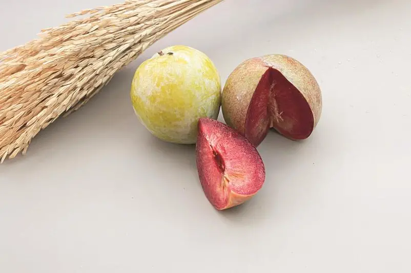 Il plumcot, ottenuto incrociando susina e albicocca