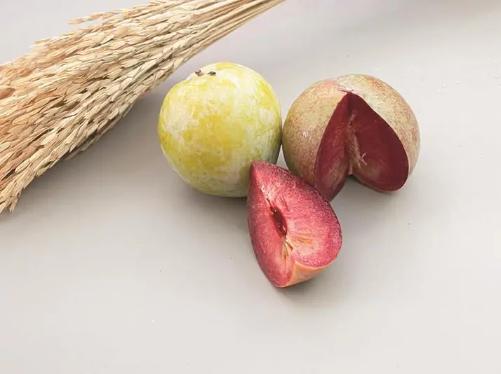 Plumcot, uva Italia o jostaberry: la super frutta che nasce dagli incroci