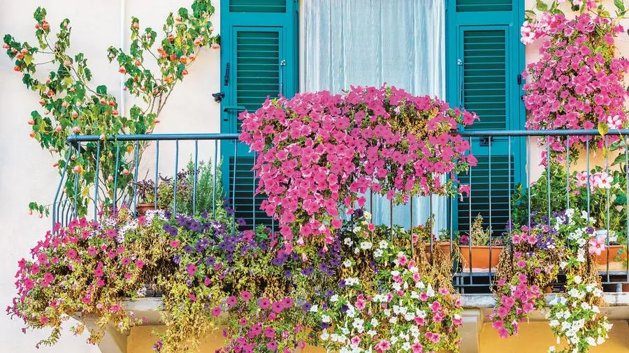 Mettiamo dei fiori nei nostri balconi, mettete dei fiori nei vostri cannoni