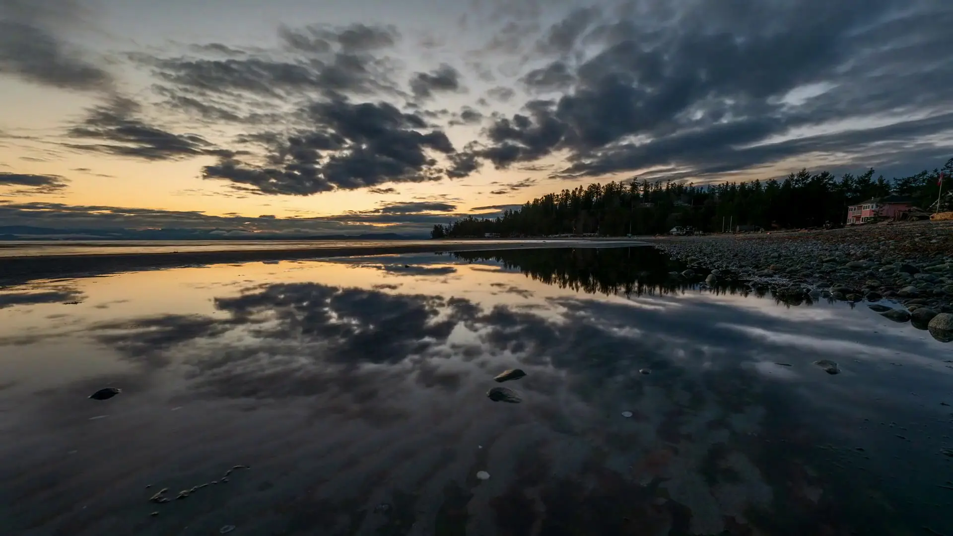 I \"segreti\" della cronobiologia