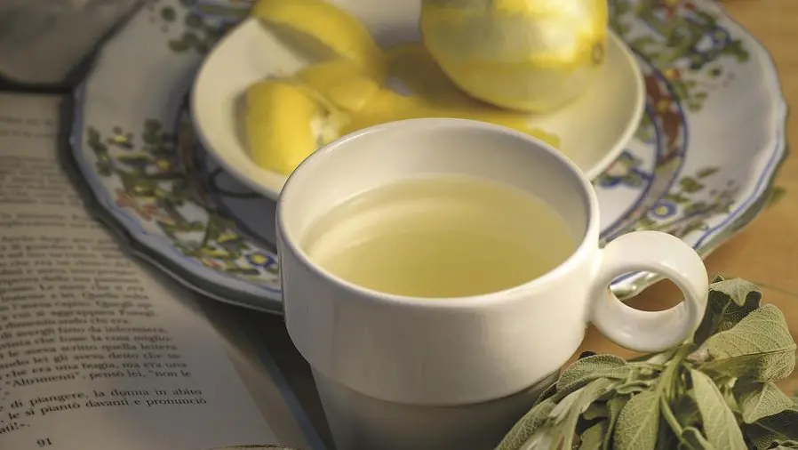 Tisana di limone, salvia e zenzero