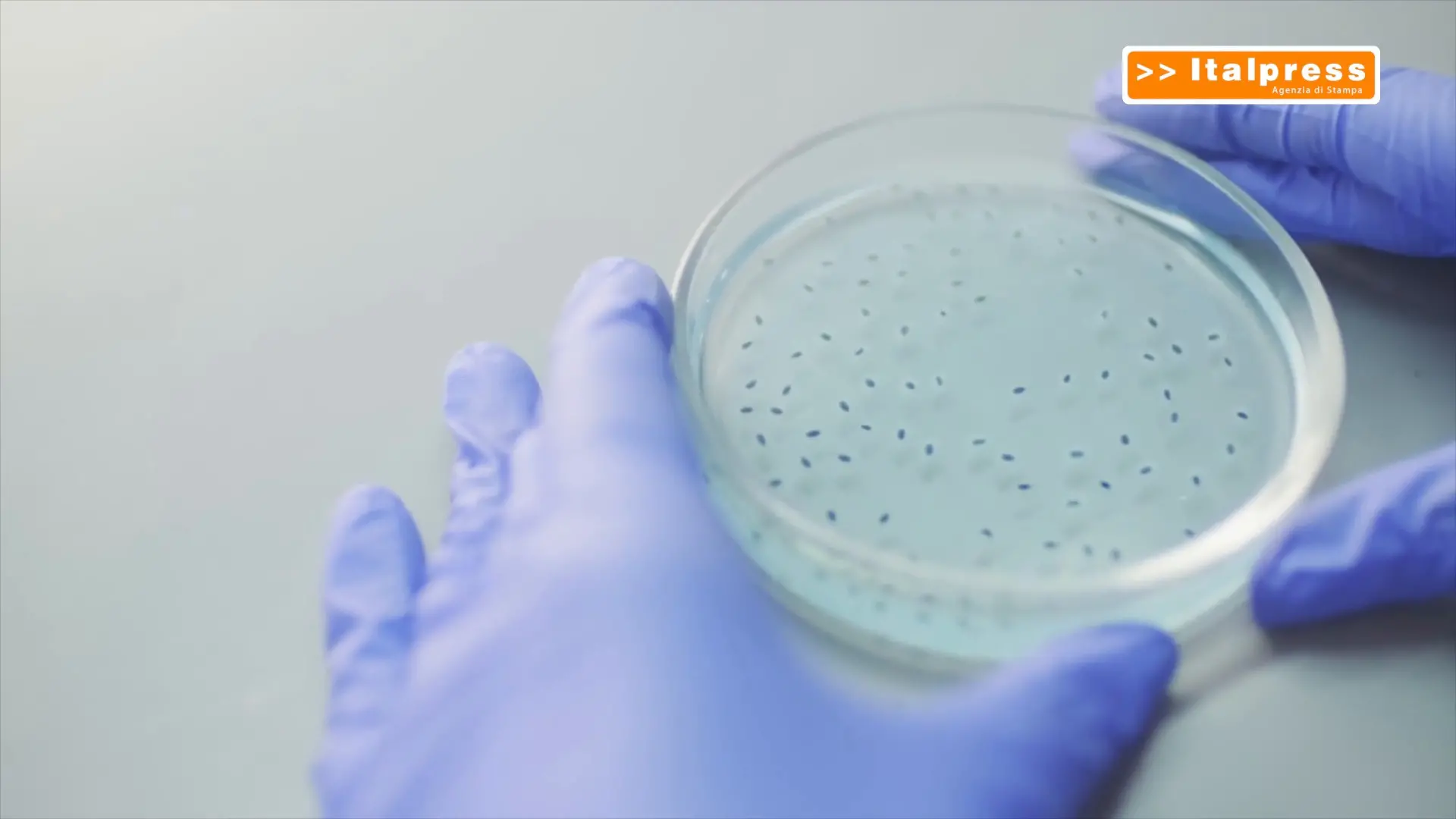 Nisticò (Aifa) \"I farmaci sono sempre più innovativi e mirati\"