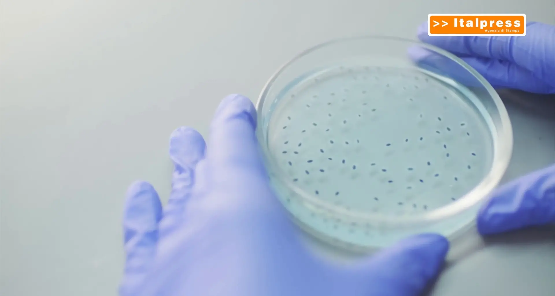 Nisticò (Aifa) \"I farmaci sono sempre più innovativi e mirati\"