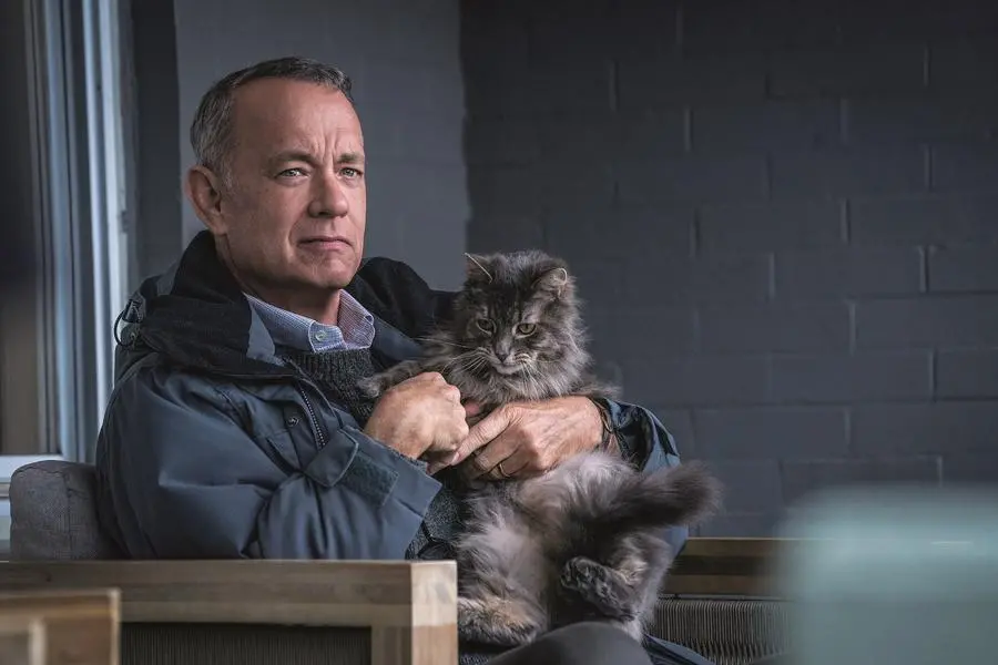 <p>L&#39;attore americano Tom Hanks ha dichiarato pubblicamente di avere il diabete di tipo 2 (foto Niko Tavernise)</p>\\n