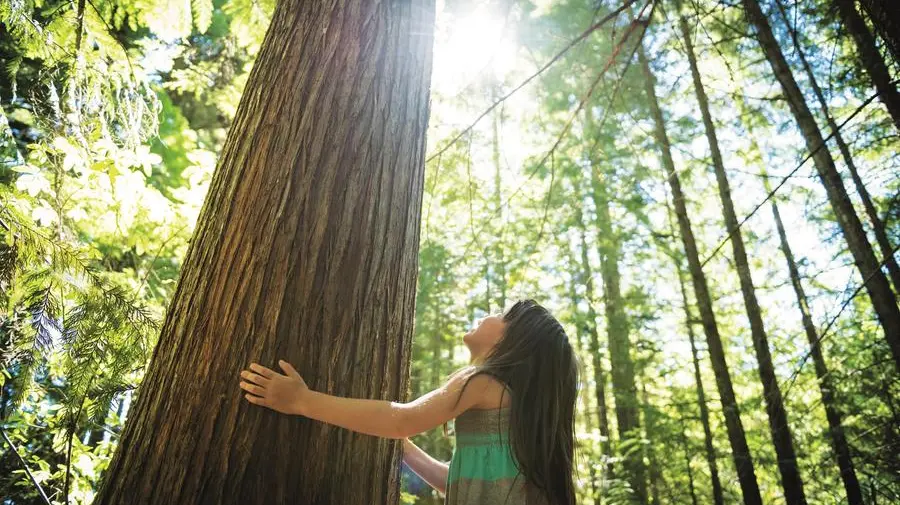 Lasciamoci sorprendere dalle piante
