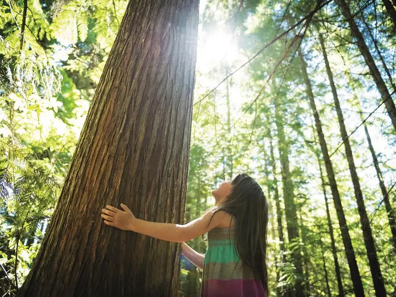 Lasciamoci sorprendere dalle piante