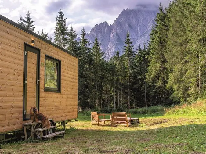 Digital detox nella natura: sempre più diffuse le offerte per staccarsi dalla tecnologia