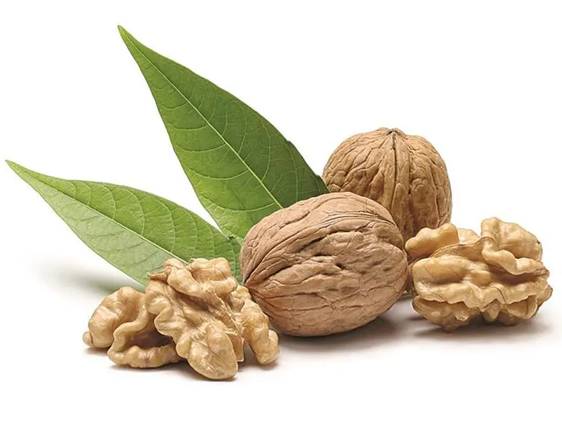 Le noci sono una buona fonte di proteine vegetali