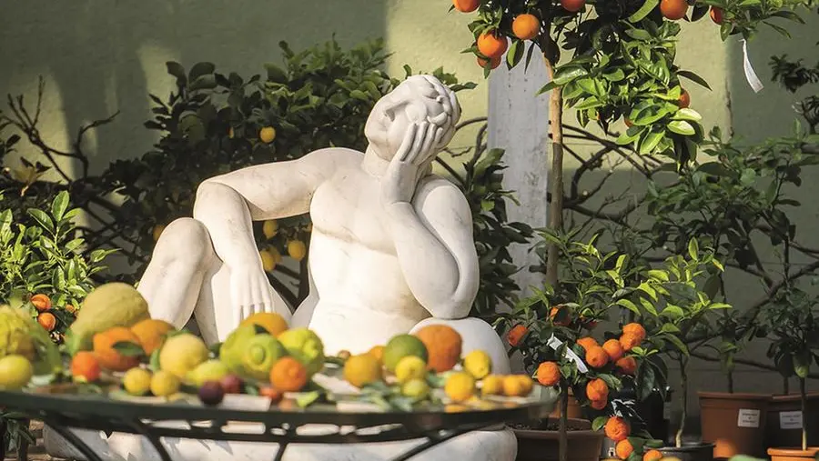 Agrumi: uno al giorno previene i malanni dell’inverno