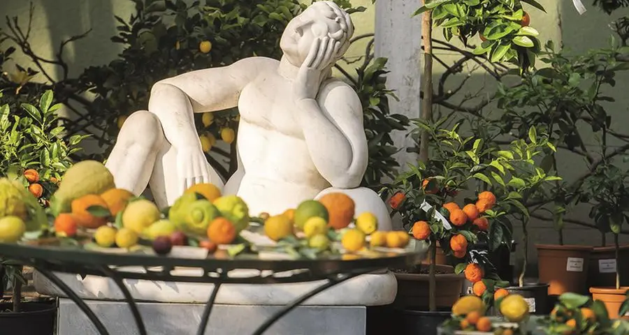 Agrumi: uno al giorno previene i malanni dell’inverno