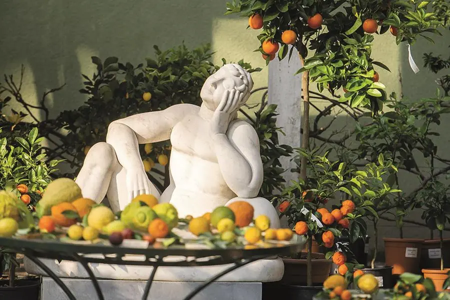 Il giardino di Villa Necchi Campiglio, bene del Fai a Milano, ospita sabato 24 e domenica 25 gennaio la XIV edizione di \"Agrumi\", per scoprire i frutti e i loro utilizzi