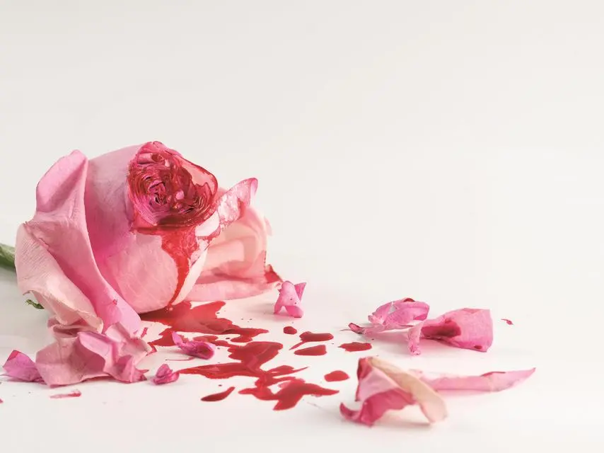 Massimiliano Brambilla: «In Italia riusciamo a riparare i danni delle mutilazioni genitali femminili»