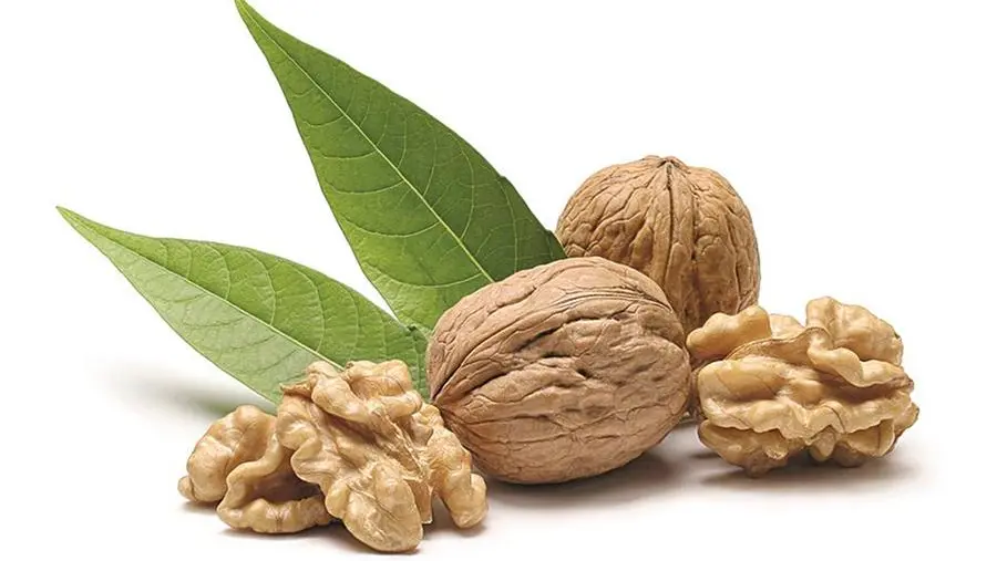 Dalle noci all’olio: gli 11 cibi che abbassano il colesterolo