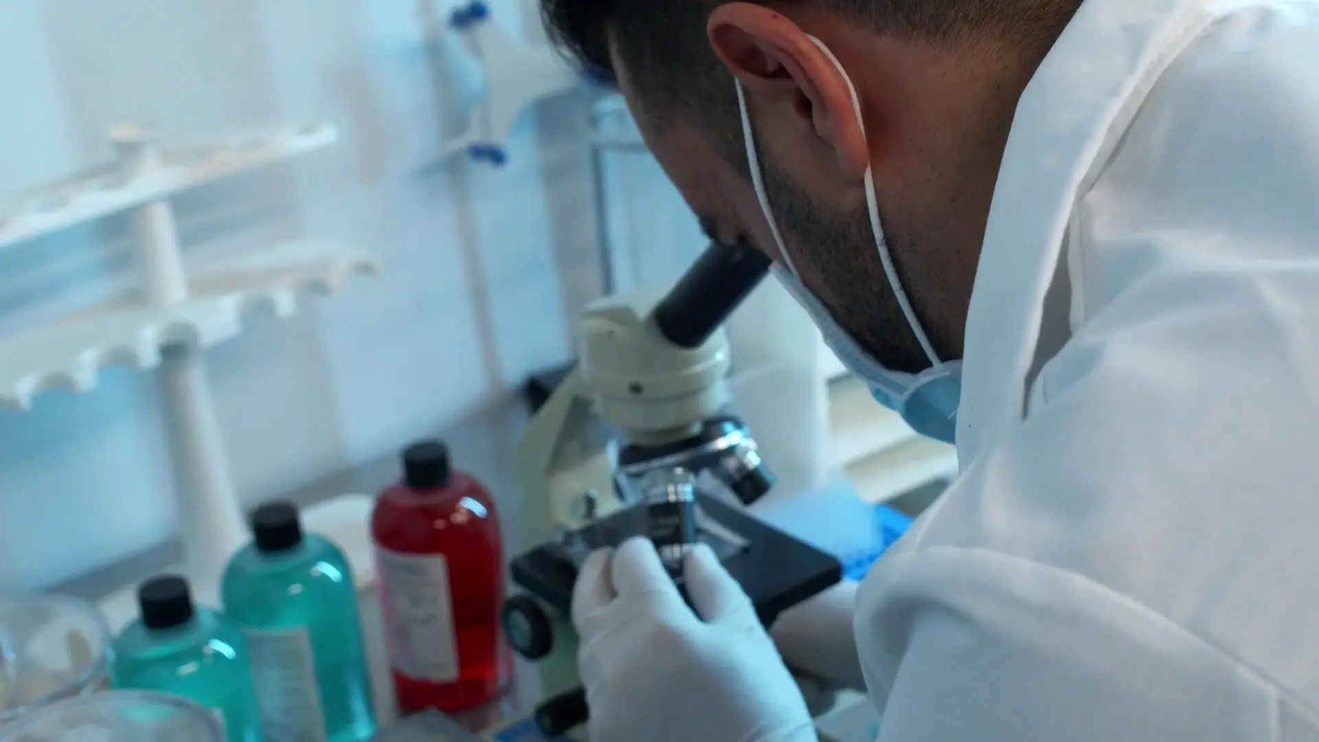 Un \"interruttore\" molecolare frena la progressione del cancro