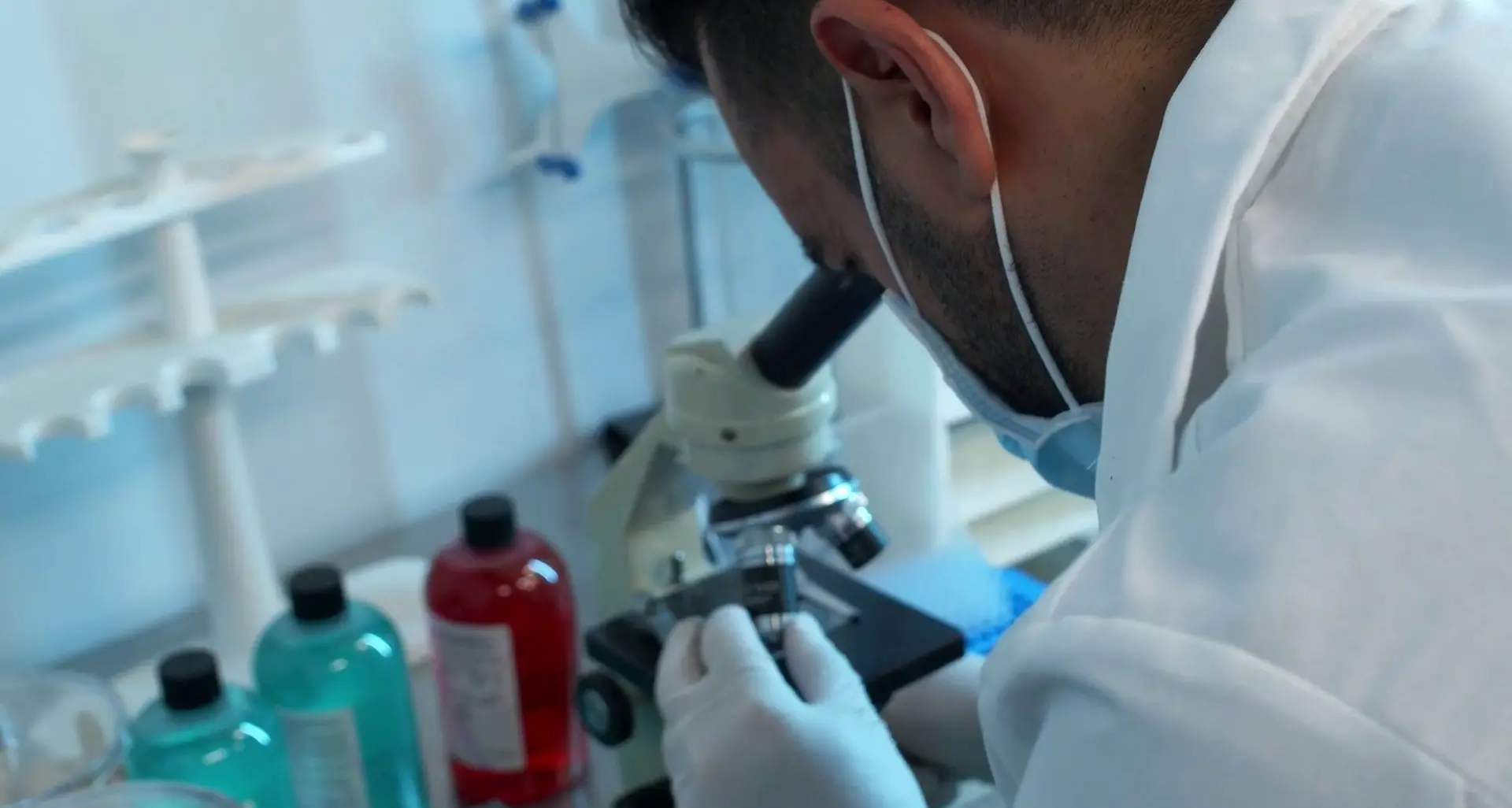 Un \"interruttore\" molecolare frena la progressione del cancro