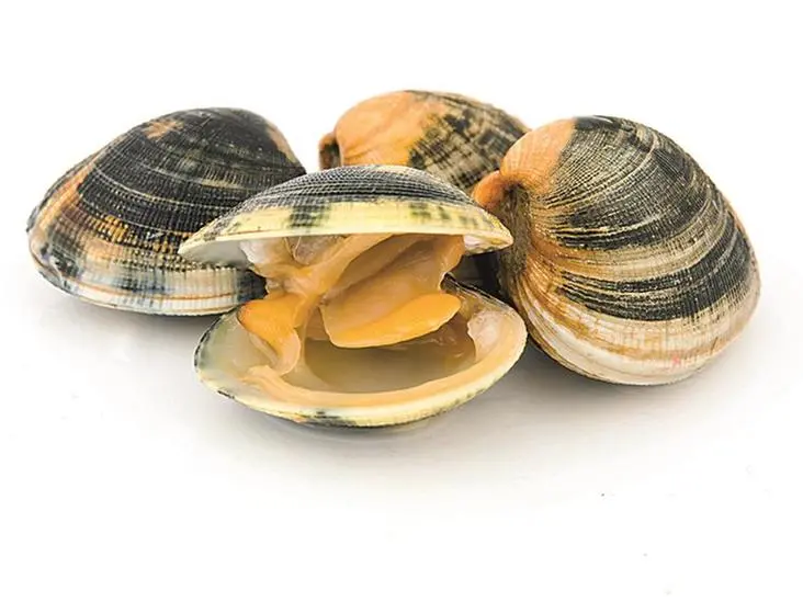 Anche le vongole, come la maggior parte dei pesci, apportano gli acidi grassi insaturi omega-3