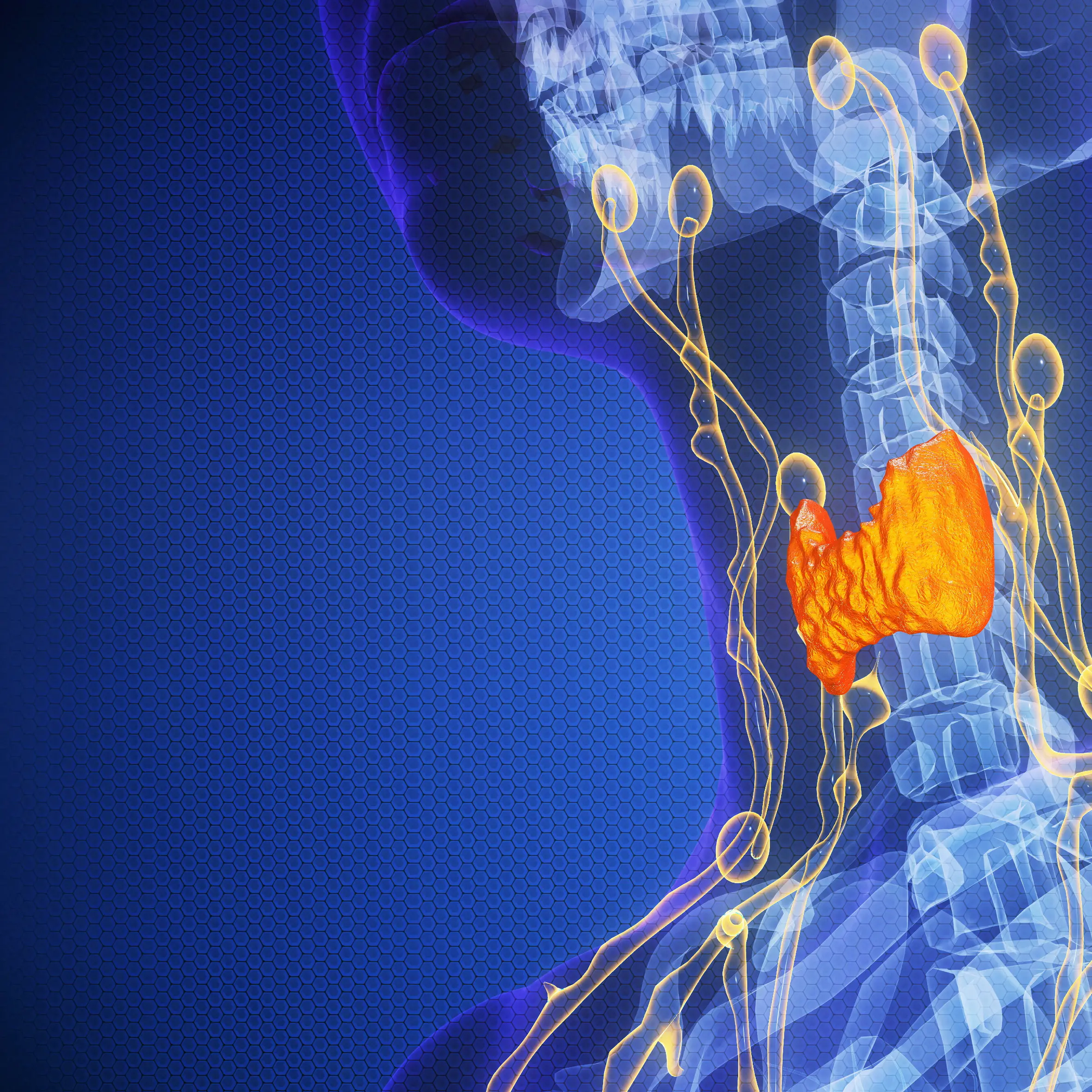 Ipotiroidismo: cause, diagnosi e cure