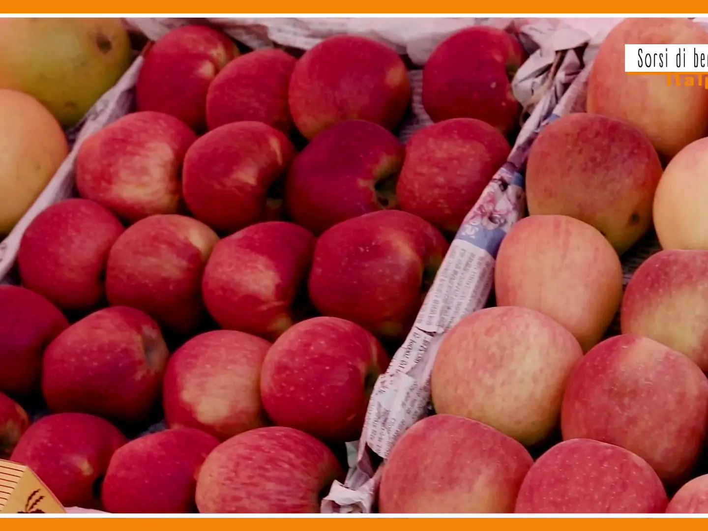 Sorsi di Benessere - Un condimento estivo e fruttato