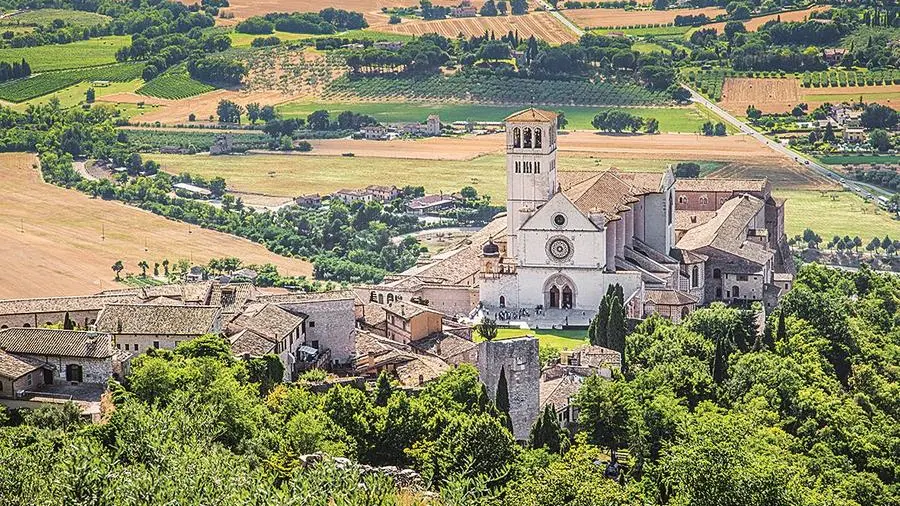 Nei luoghi di San Francesco, il primo ambientalista