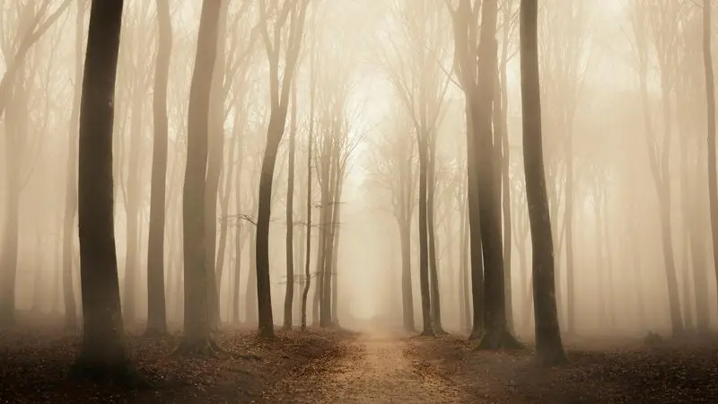 Come superare la nebbia mentale in menopausa
