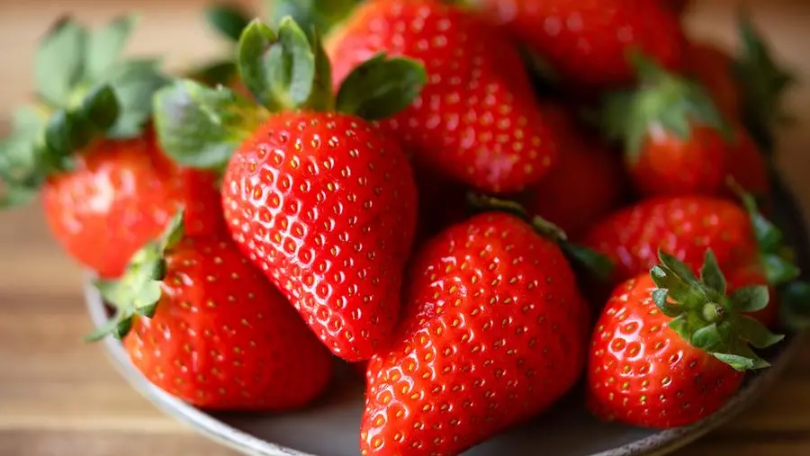 Fragole con yogurt gelato ai frutti rossi e cioccolato fondente