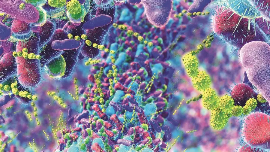 Probiotici: utili in caso di diarrea, colon irritabile e cure antibiotiche