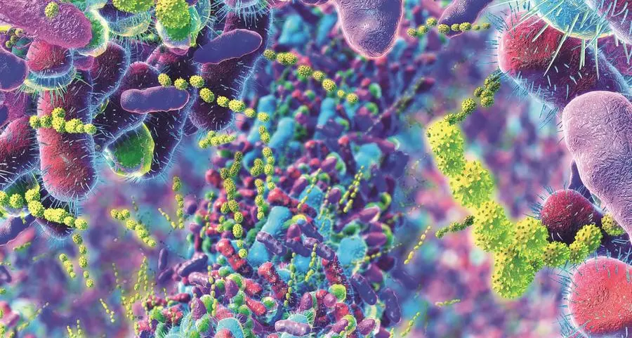 Probiotici: utili in caso di diarrea, colon irritabile e cure antibiotiche