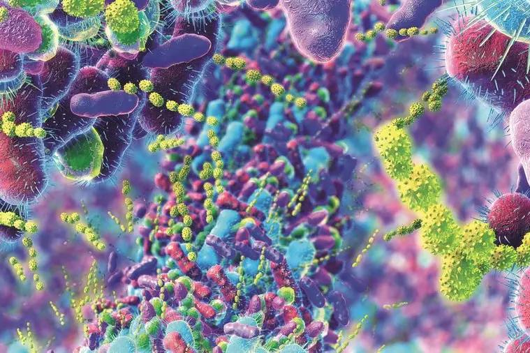 Un immagine del microbiota intestinale, insieme di miliardi di microrganismi