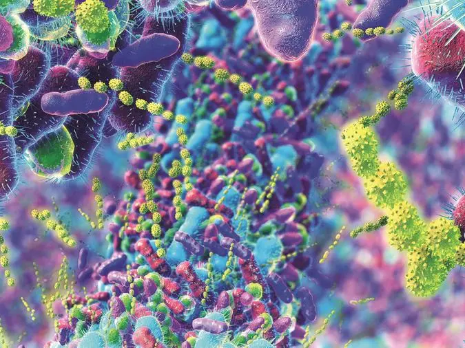 Probiotici: utili in caso di diarrea, colon irritabile e cure antibiotiche