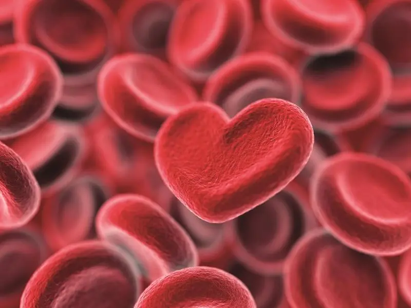 Sangue raro: e se fossi proprio tu ad avere una sorta di farmaco nelle vene?