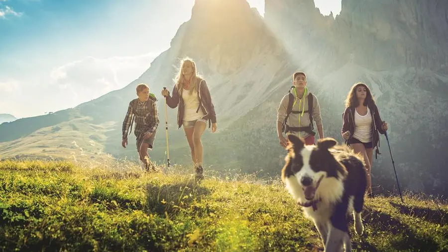 Il dog trekking è sempre più popolare