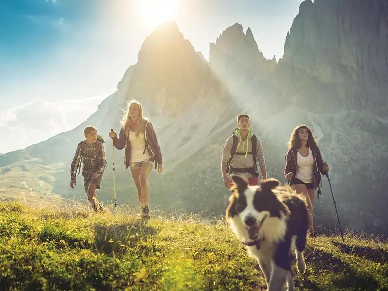 Il dog trekking è sempre più popolare