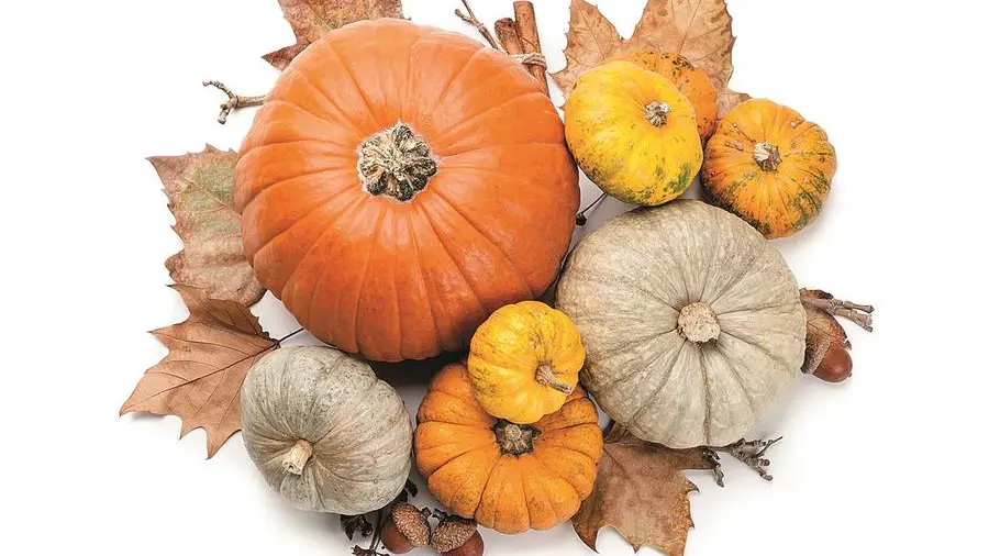 La zucca e le sue proprietà antiossidanti