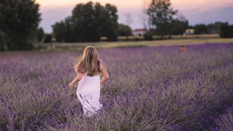 Lavanda, un’essenza che concilia il riposo