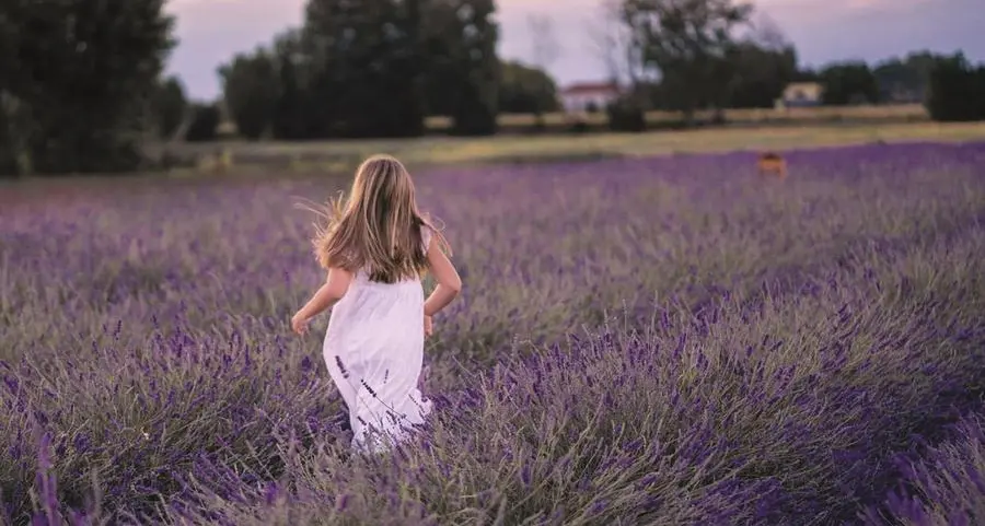 Lavanda, un’essenza che concilia il riposo