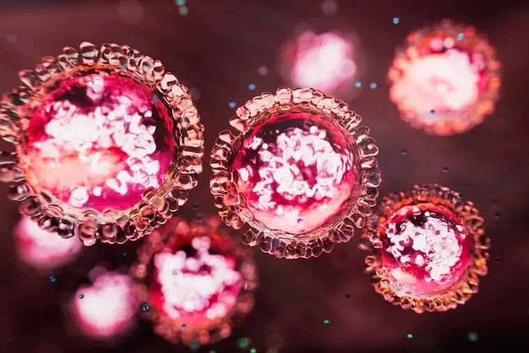 Il virus del morbillo , Getty Images