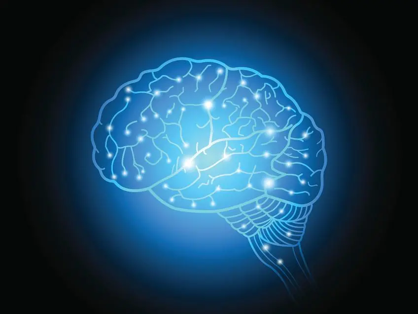 Anoressia nervosa: allo studio la stimolazione del cervello con gli elettrodi