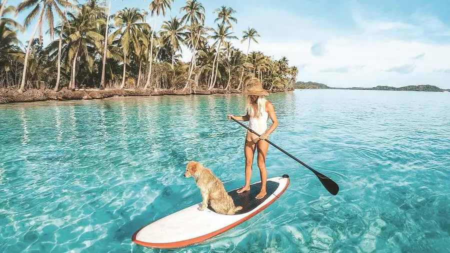 In vacanza con gli animali: sette padroni su dieci portano il cane in viaggio con loro