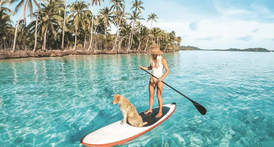 In vacanza con gli animali: sette padroni su dieci portano il cane in viaggio con loro
