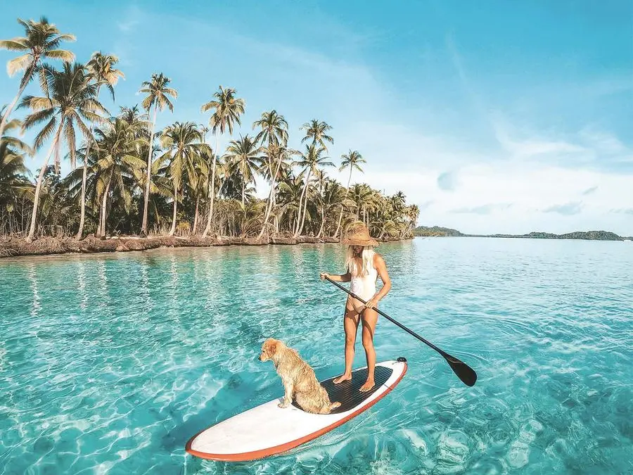 In vacanza con gli animali: sette padroni su dieci portano il cane in viaggio con loro