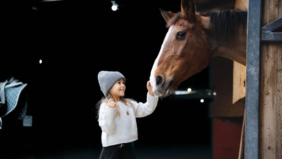 Accarezzare i cavalli protegge il pancino dei bambini