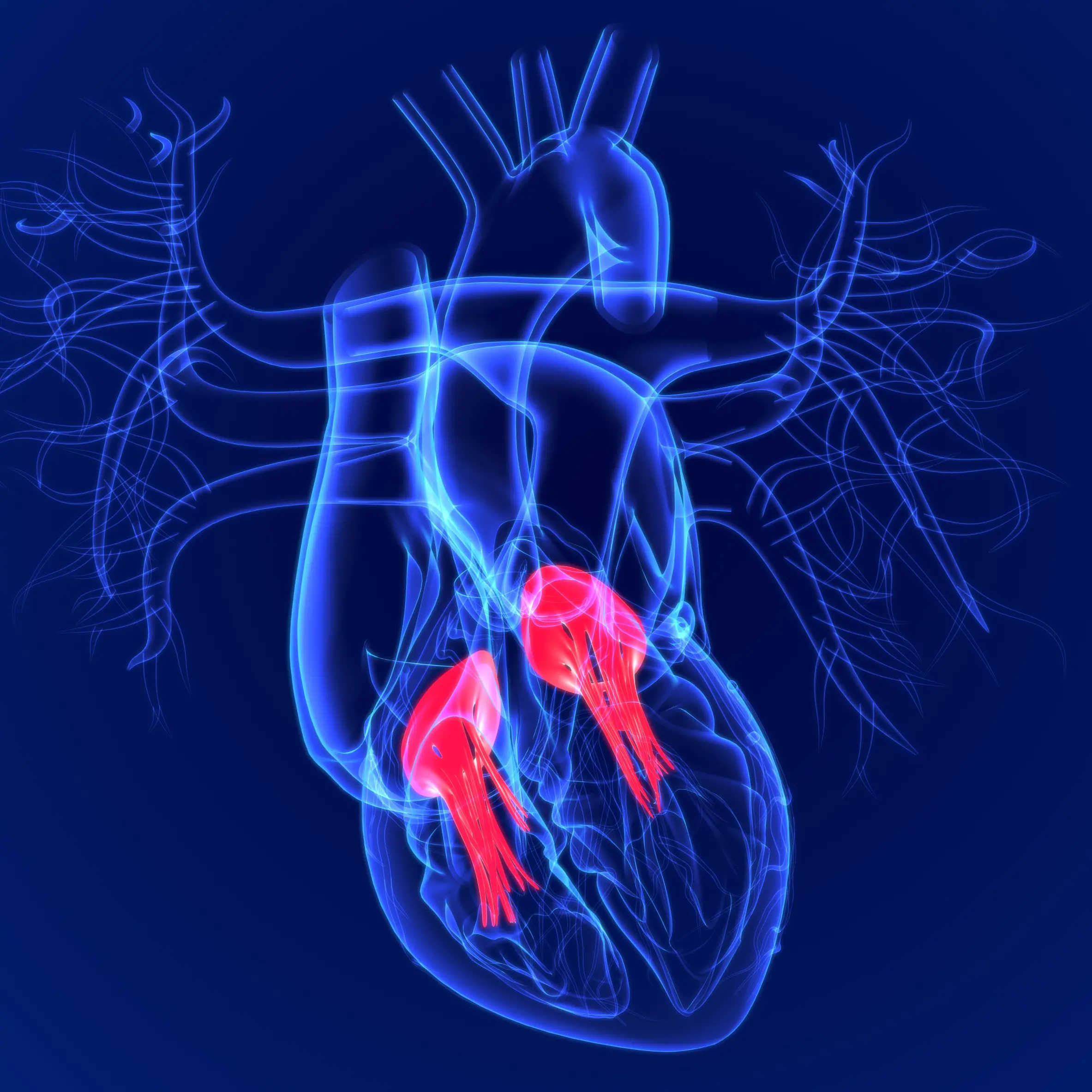 I fattori di rischio cardiovascolare